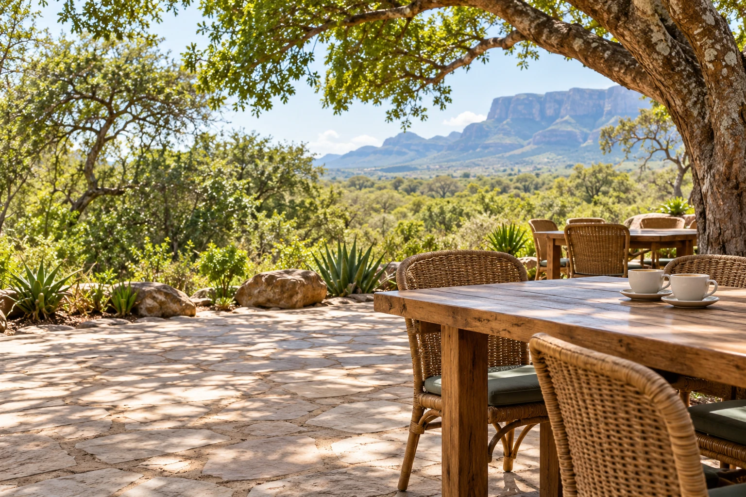 The Bosveld Café terrace, wooden tables under a big tree with the Drakensberg escarpment behind